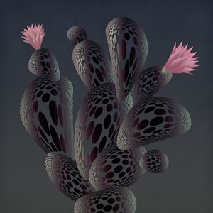 NIGHT CACTUS