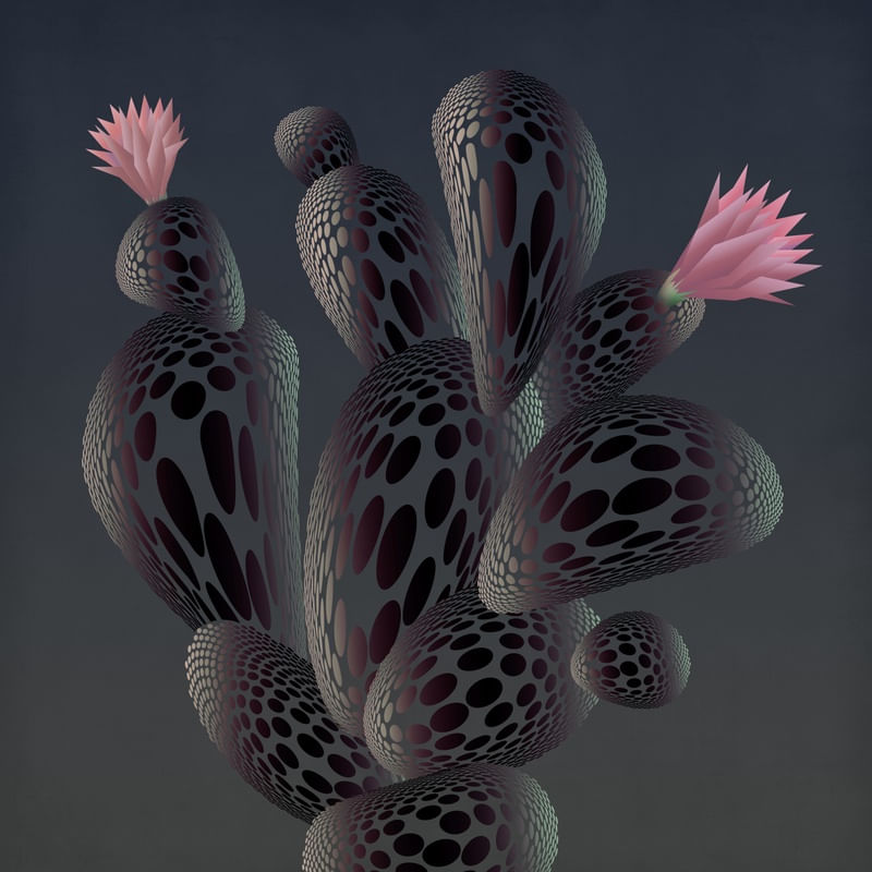 NIGHT CACTUS
