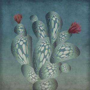 OK, CACTUS!