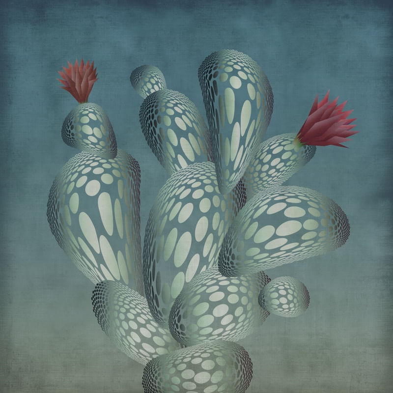 OK, CACTUS!