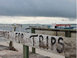 VIAGEM EM TONS DE CINZA