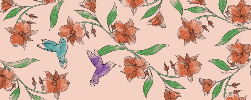 NATUREZA E BEIJA-FLOR