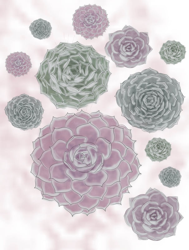 ECHEVERIAS