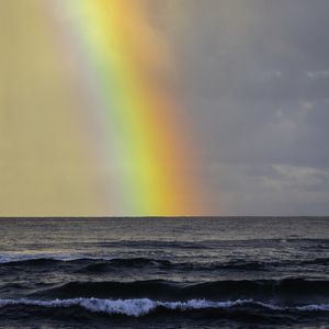 HAWAII RAINBOW