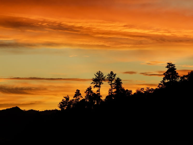 SUNSET SC