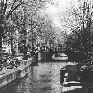 AMSTERDAM BRIDGE MC