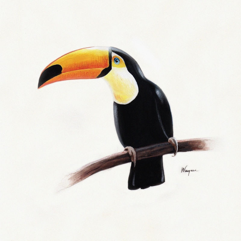 TUCANAÇU