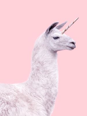 UNICORN LAMA 2