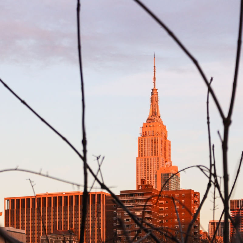 GALHOS EMPIRE STATE BUILDING, NY