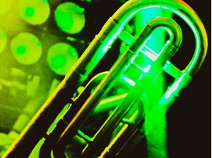 BONE GREEN