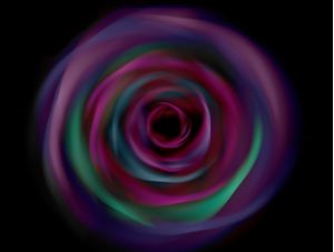 COLORFUL ROSES