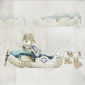 AVIADOR NO AVIÃO
