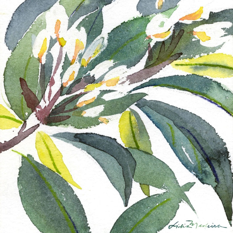 FLOR E FOLHA II