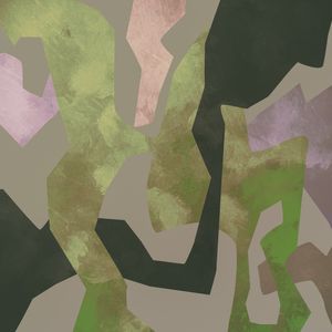 CAMOUFLAGE II
