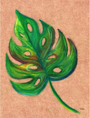 FOLHA PLANTA