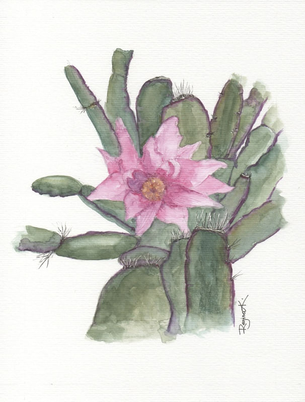 CACTO ROSA