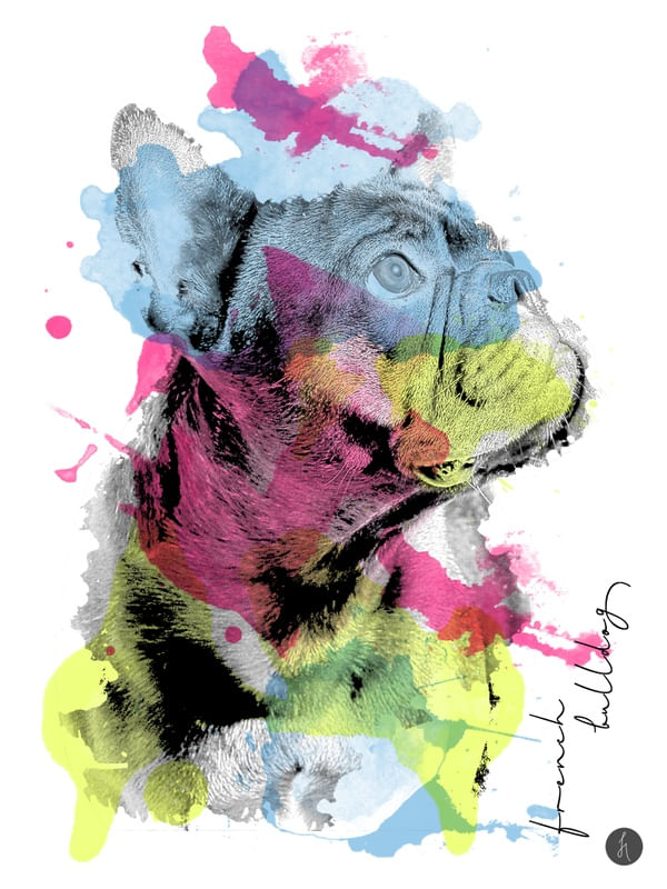 ABSTRACT FRENCH BULLDOG