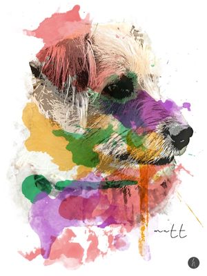 ABSTRACT MUTT