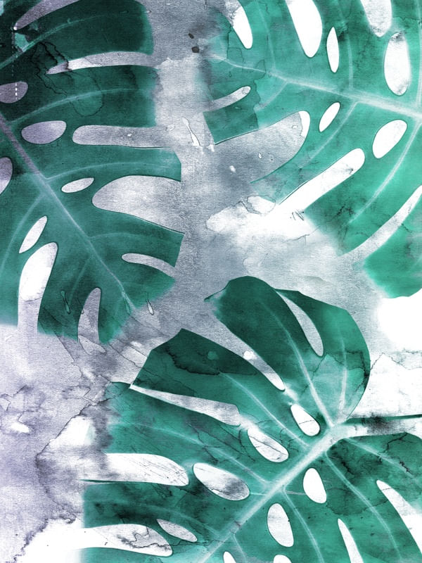 MONSTERA THEME