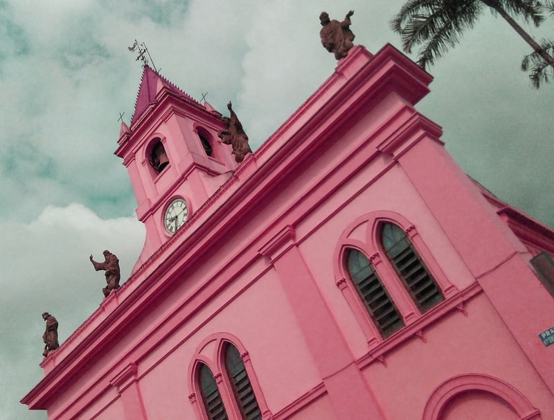 CATEDRAL ROSA