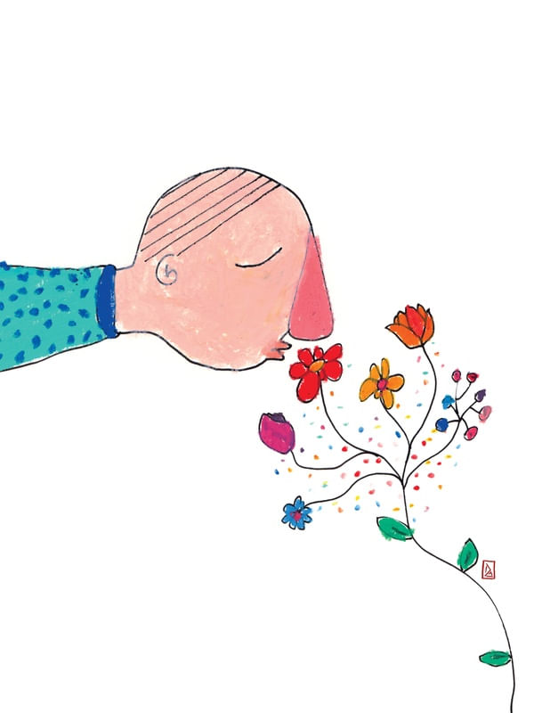 O PERSEGUIDOR DE AROMAS