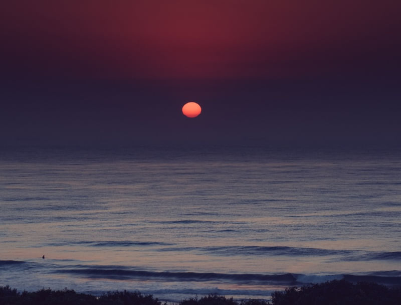 LONELY SURF