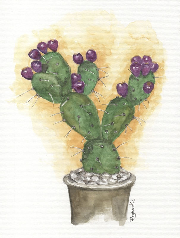 CACTO ROXO