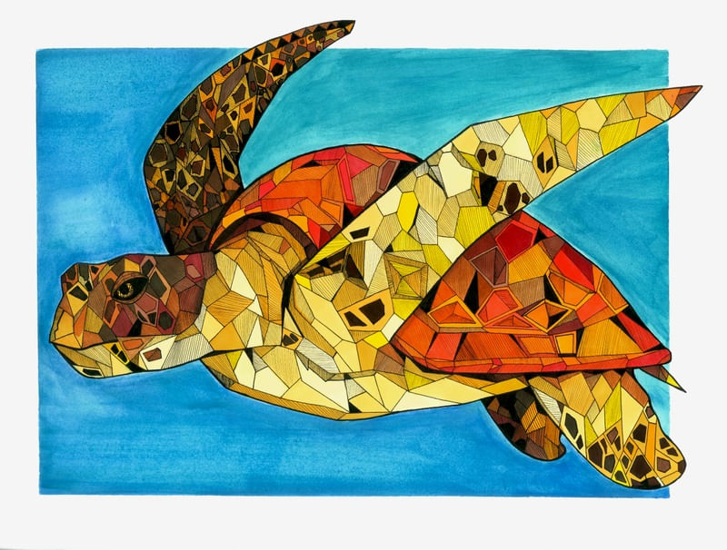 TARTARUGA HAWKSBILL