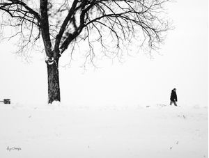INVERNO SO