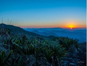 LOPO SUNRISE