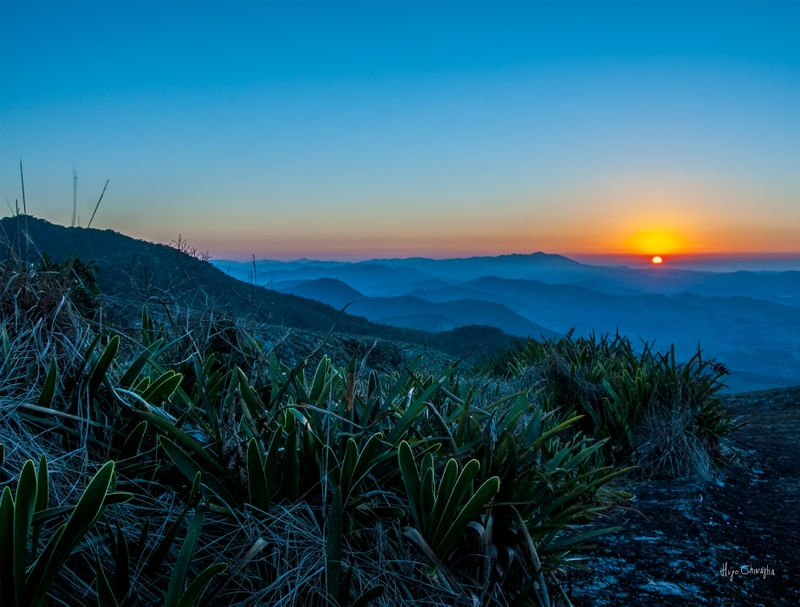 LOPO SUNRISE