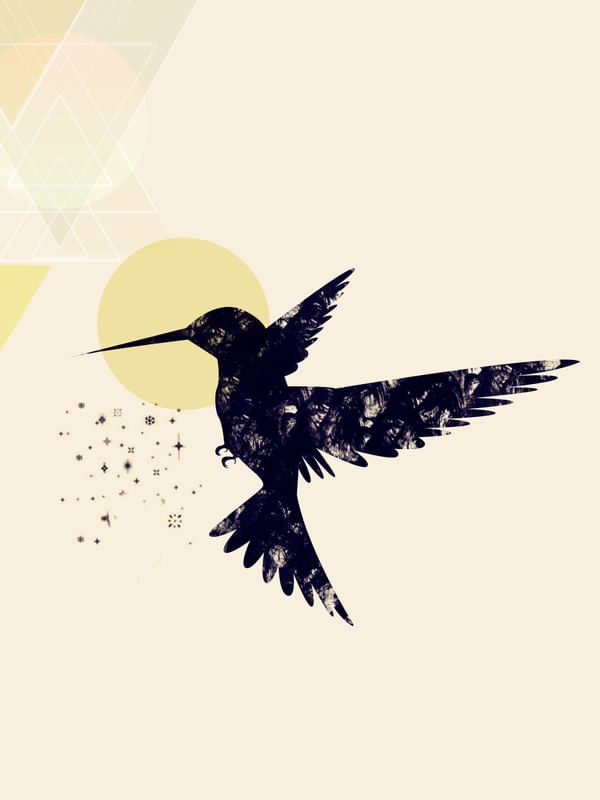BIRD XXX