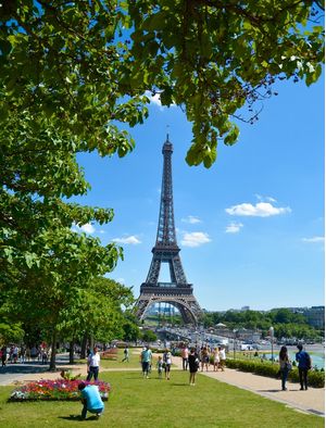 PARIS EMOLDURADA DE FOLHAS - MENOR