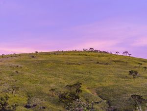 CÉU ROXO DE CAPITÓLIO