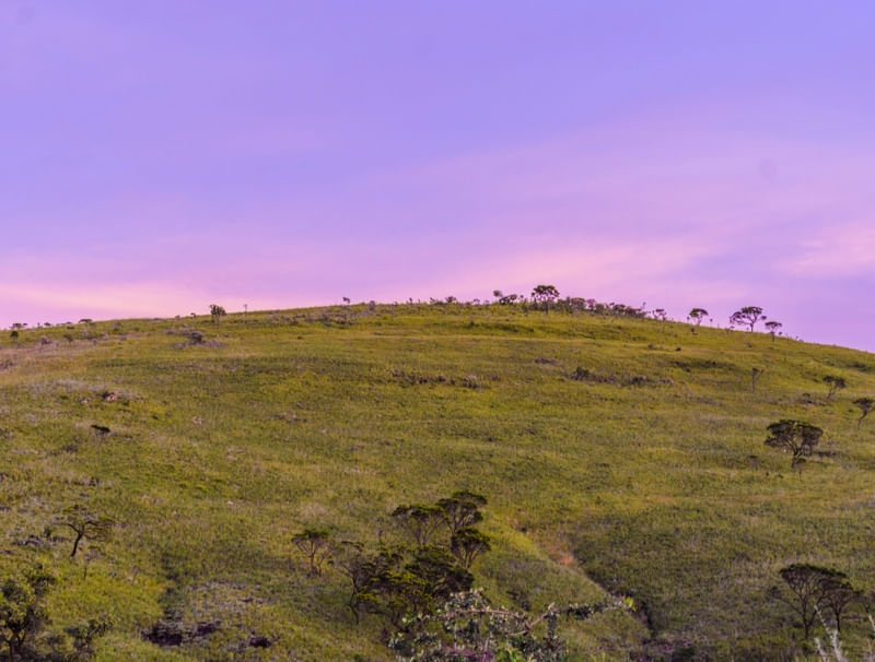 CÉU ROXO DE CAPITÓLIO