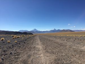 ROTA DEL DESIERTO
