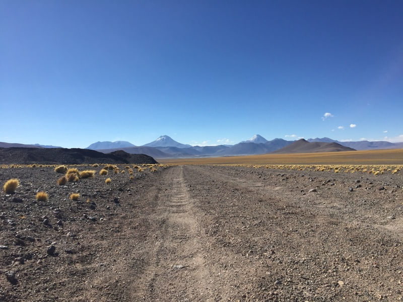 ROTA DEL DESIERTO