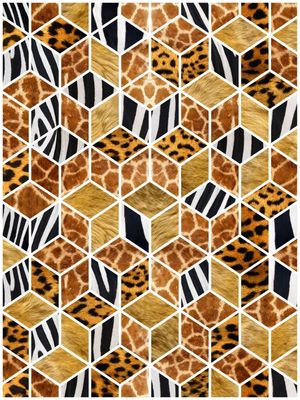CUBO AFRICA I