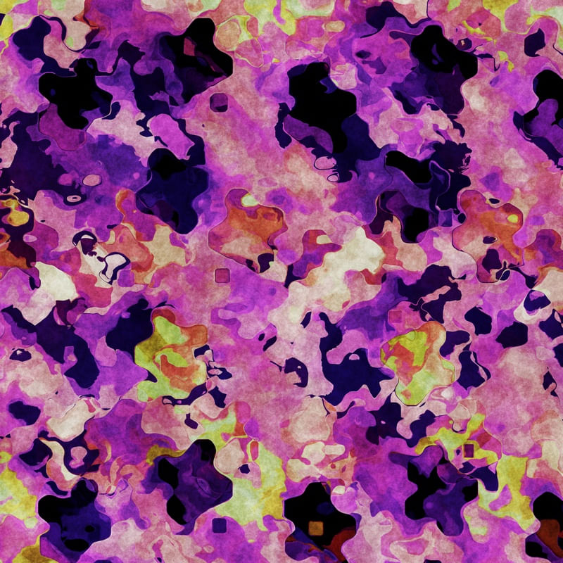 HIDDEN VIOLETS