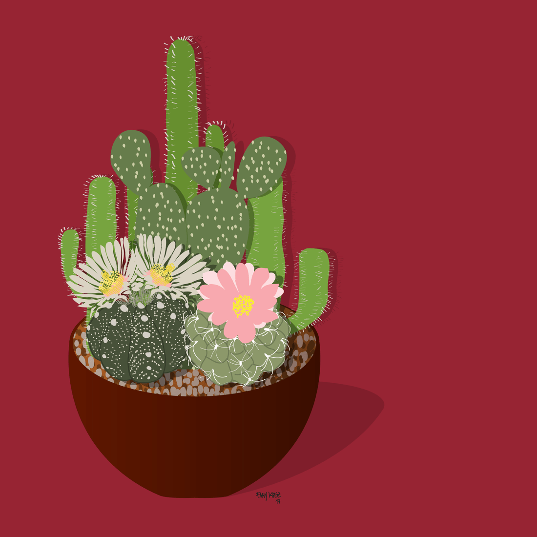 CACTOS - VERMELHO