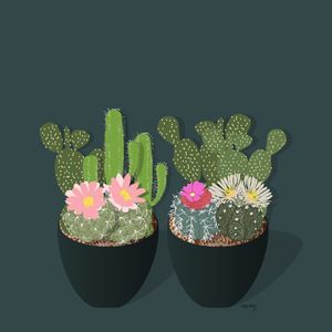 CACTOS - VERDE
