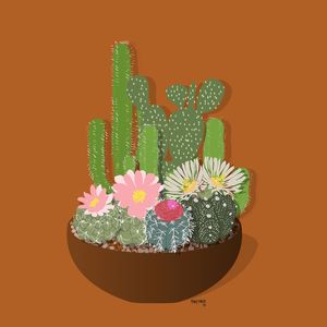 CACTOS - LARANJA