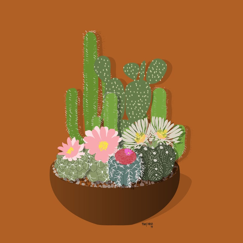CACTOS - LARANJA