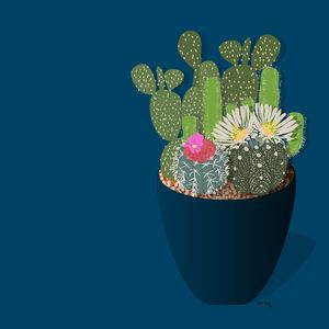 CACTOS - AZUL