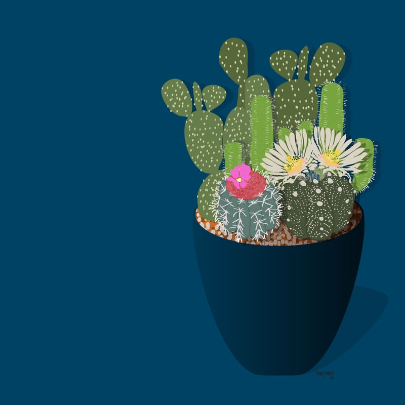 CACTOS - AZUL