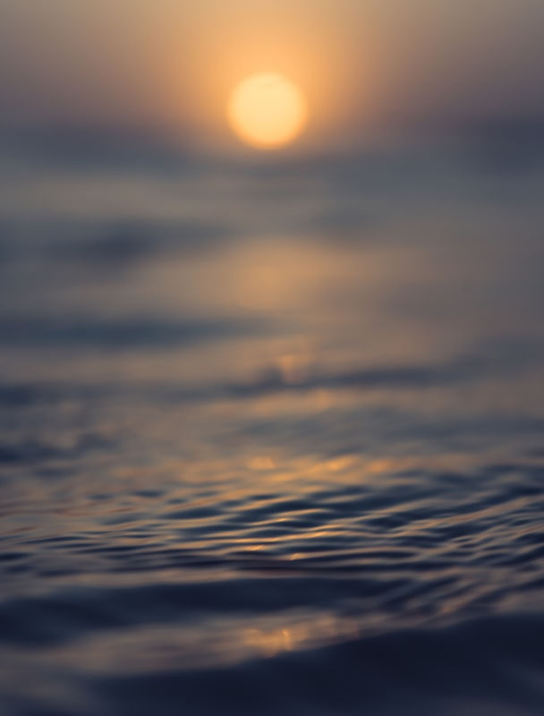 MIDNIGHT SUN