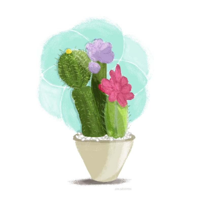 CACTO FLORAL