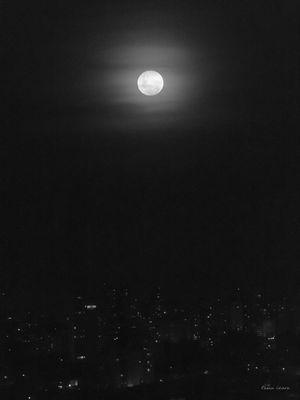 LUA DE NOIVA
