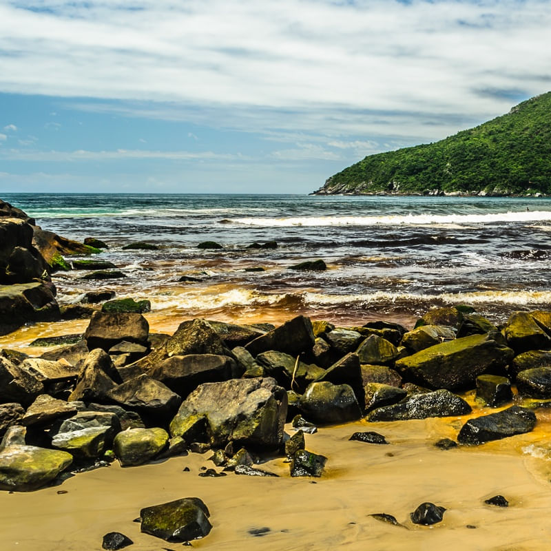 PRAIA DA ARMAÇÃO