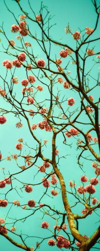 NO MEIO DO CÉU